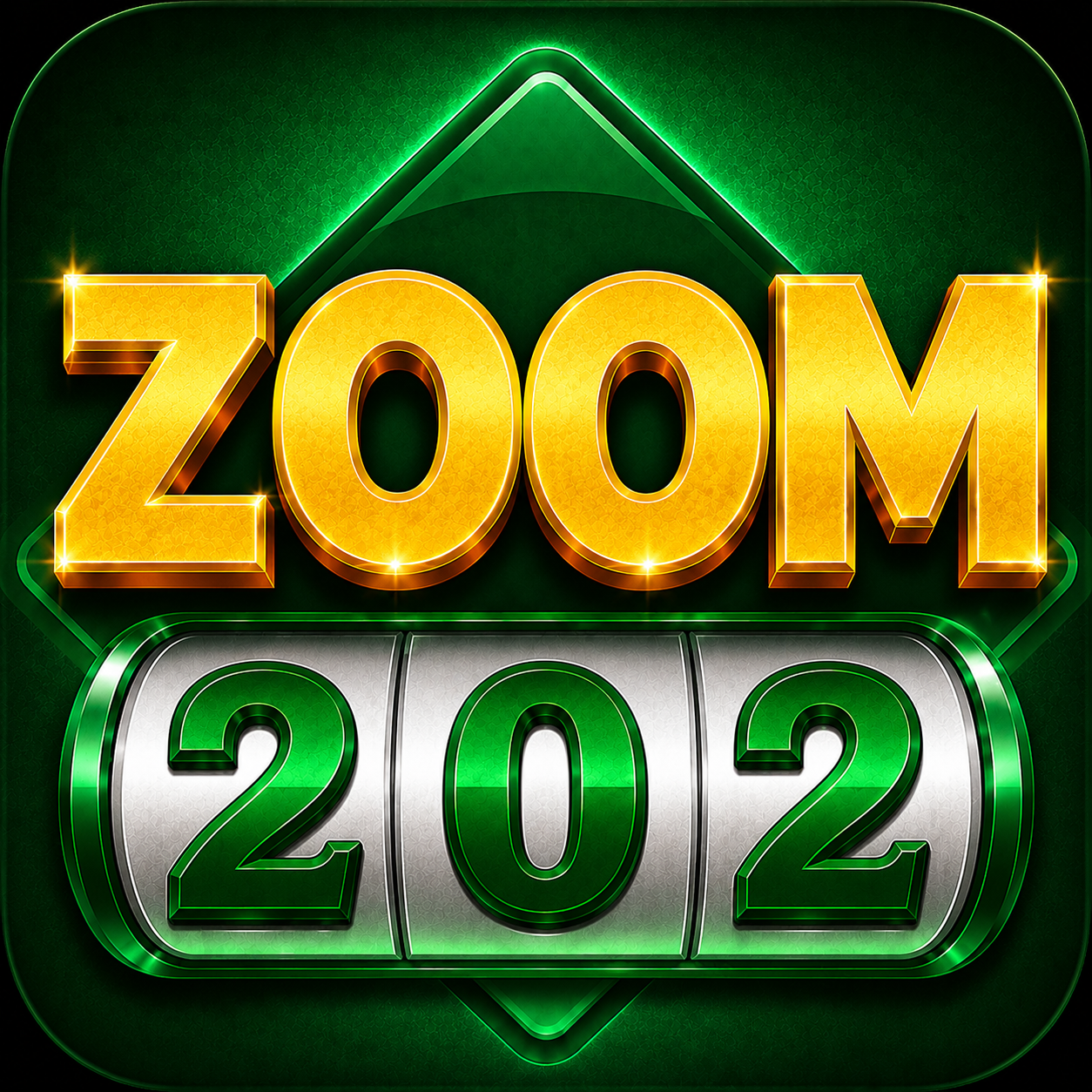 Zoom 202 Icon